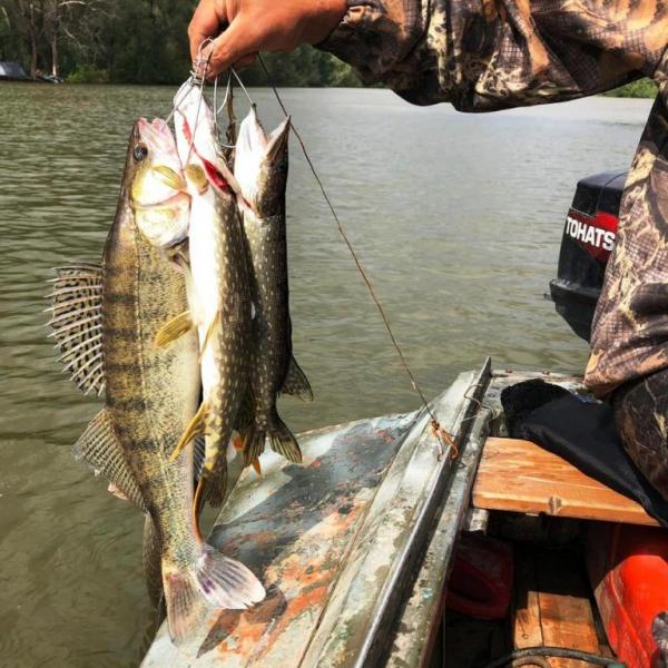 Рыбалка в 2019г на Оби фото пойманной рыбы