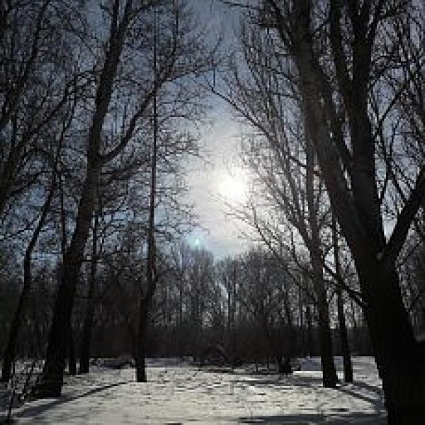 Фотоальбом зимние пейзажи Сузуна