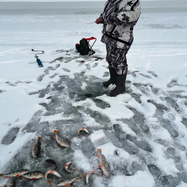 Платная рыбалка в Новосибирске