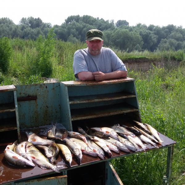 Улов после рыбалки в Сузуне от дома рыбака Кордон
