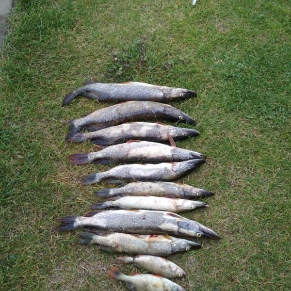 Улов рыбы в Сузуне фото