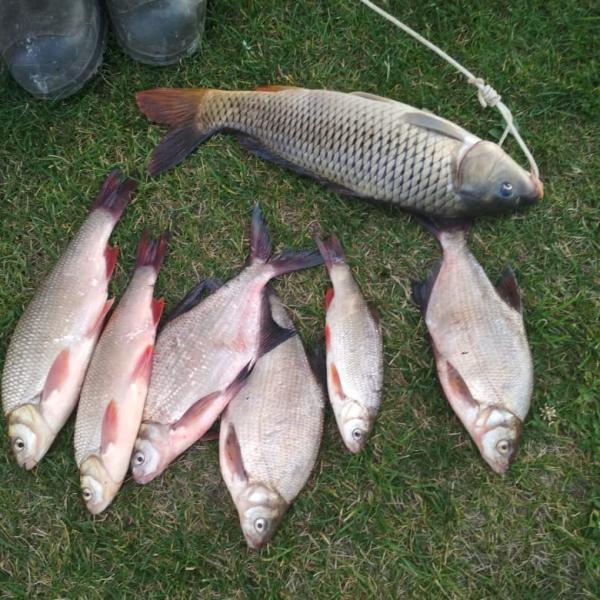 Фото результата рыбалки в Сузуне