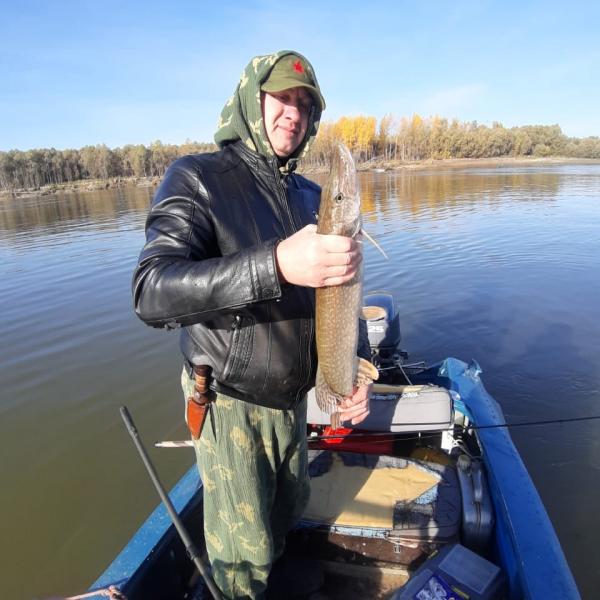 Щука в руках рыбака при рыбалке с лодки