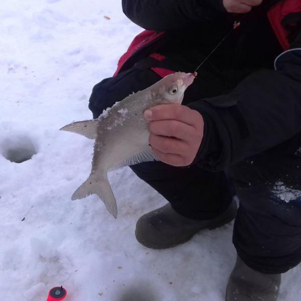 Зимняя рыбалка в Сузуне в марте
