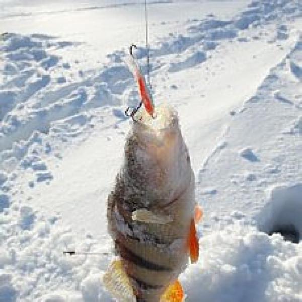 Зимняя рыбалка в Сузуне