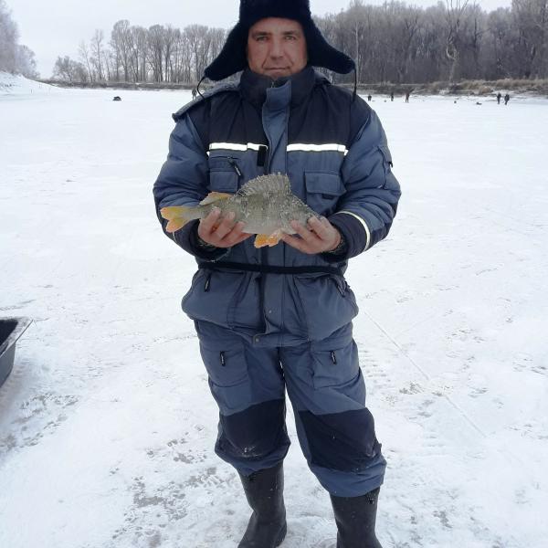 Платная зимняя рыбалка в Новосибирске