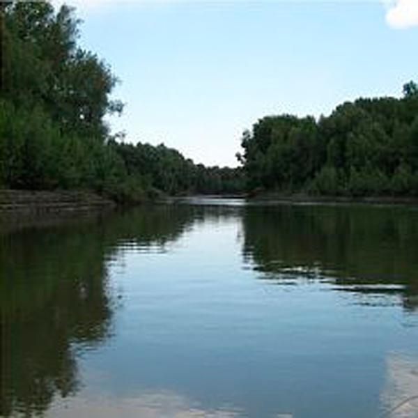 Фото сибирской природы: прекрасные речные пейзажи реки Обь